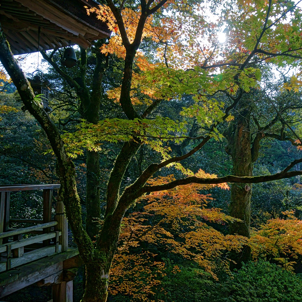 那谷寺の紅葉6