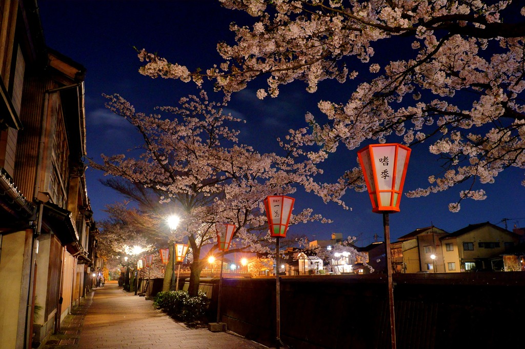 isikawa sakura 2015 No7