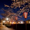isikawa sakura 2015 No7