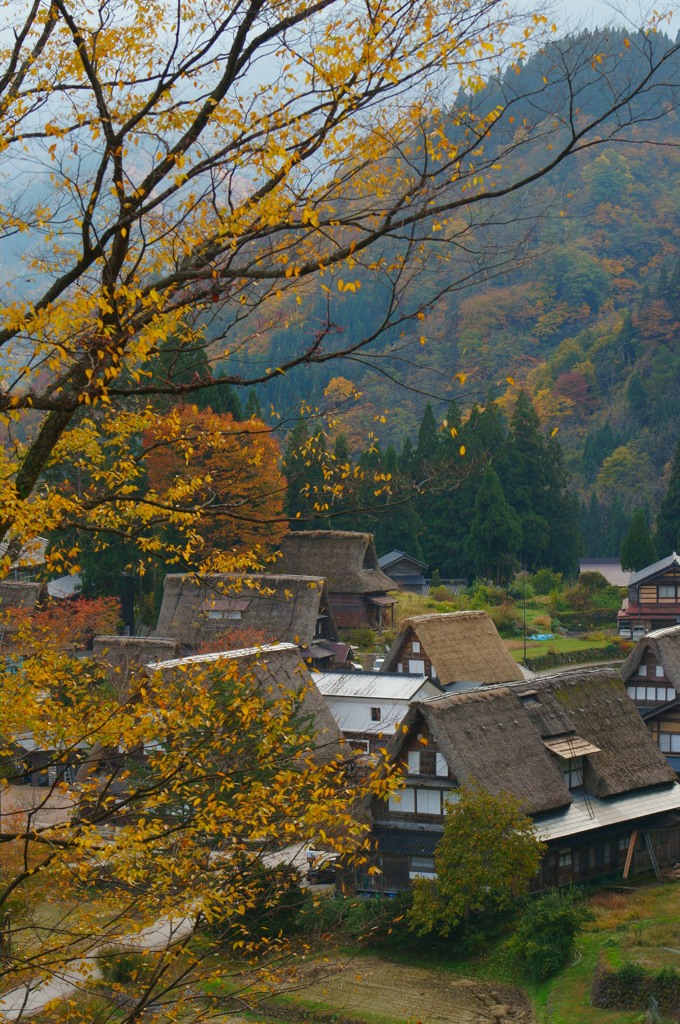 五箇山の秋景