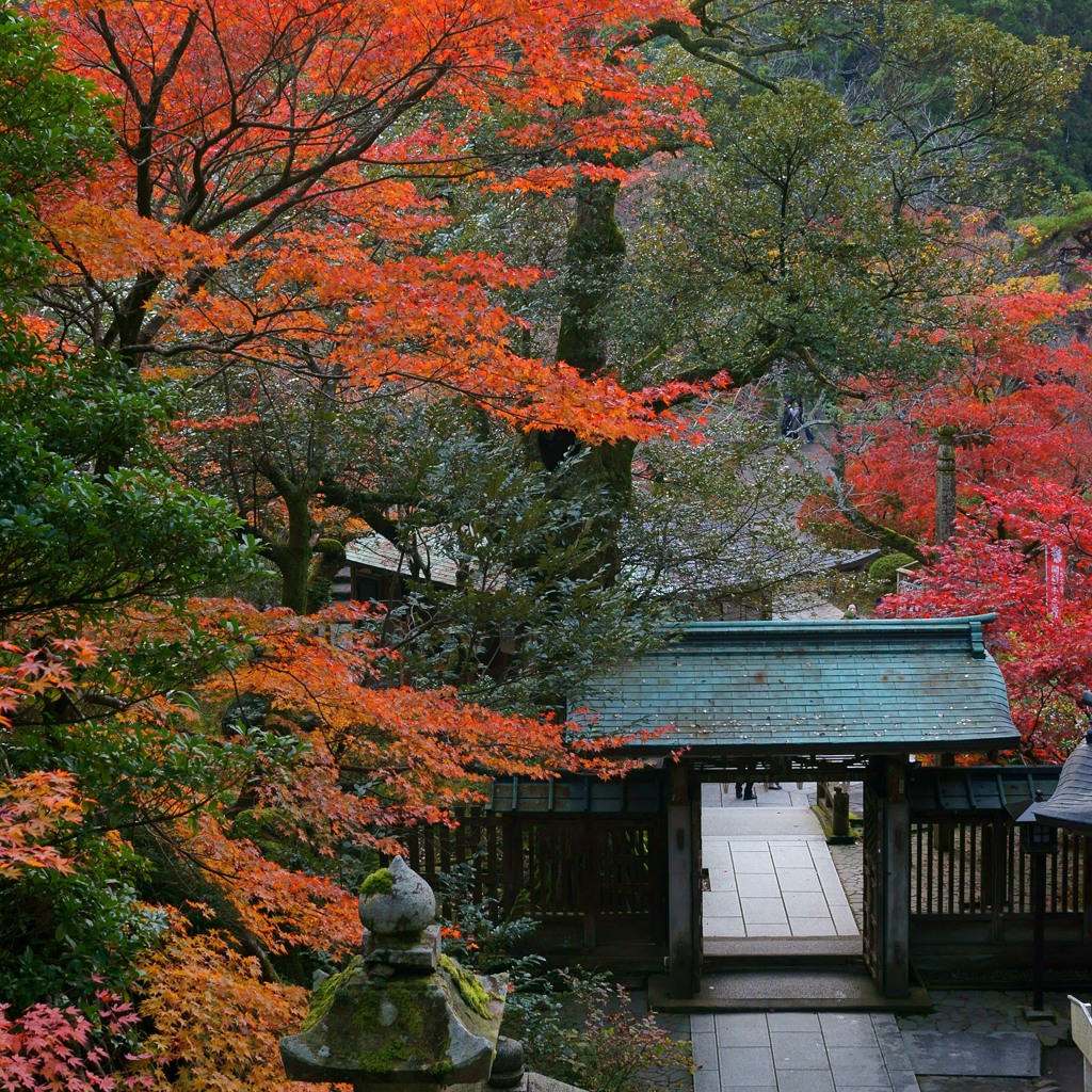 那谷寺の紅葉13