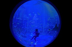地球は海からできている