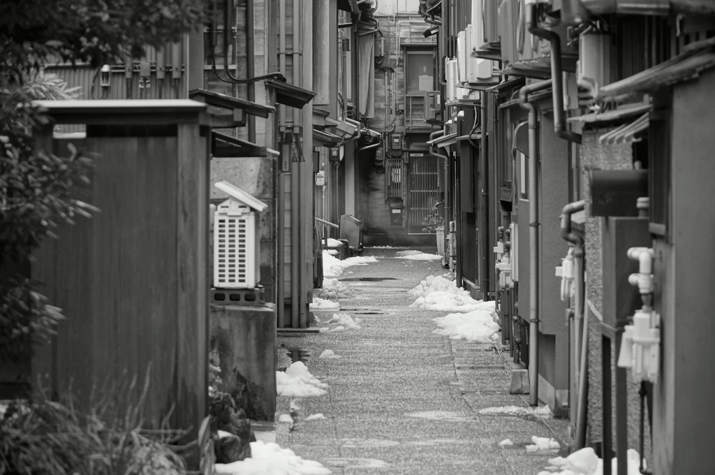 金沢散策・主計町お茶屋の小路