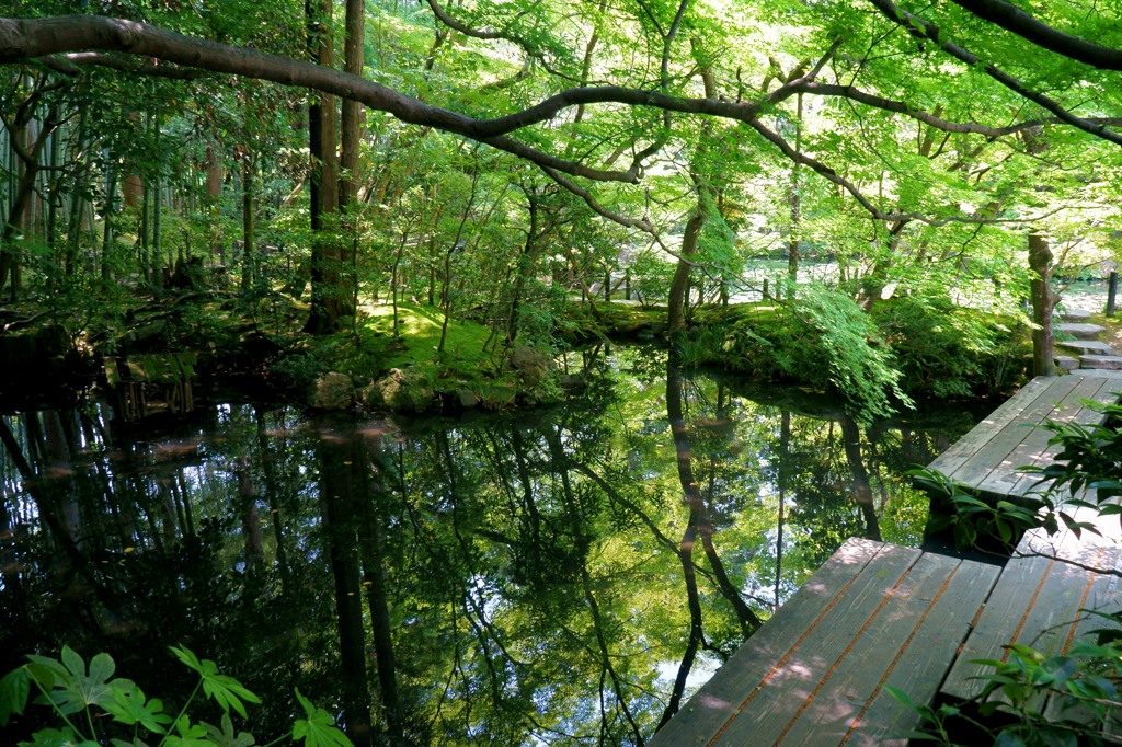 天授庵　南庭の水鏡