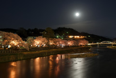 金沢散策　浅野川の春景