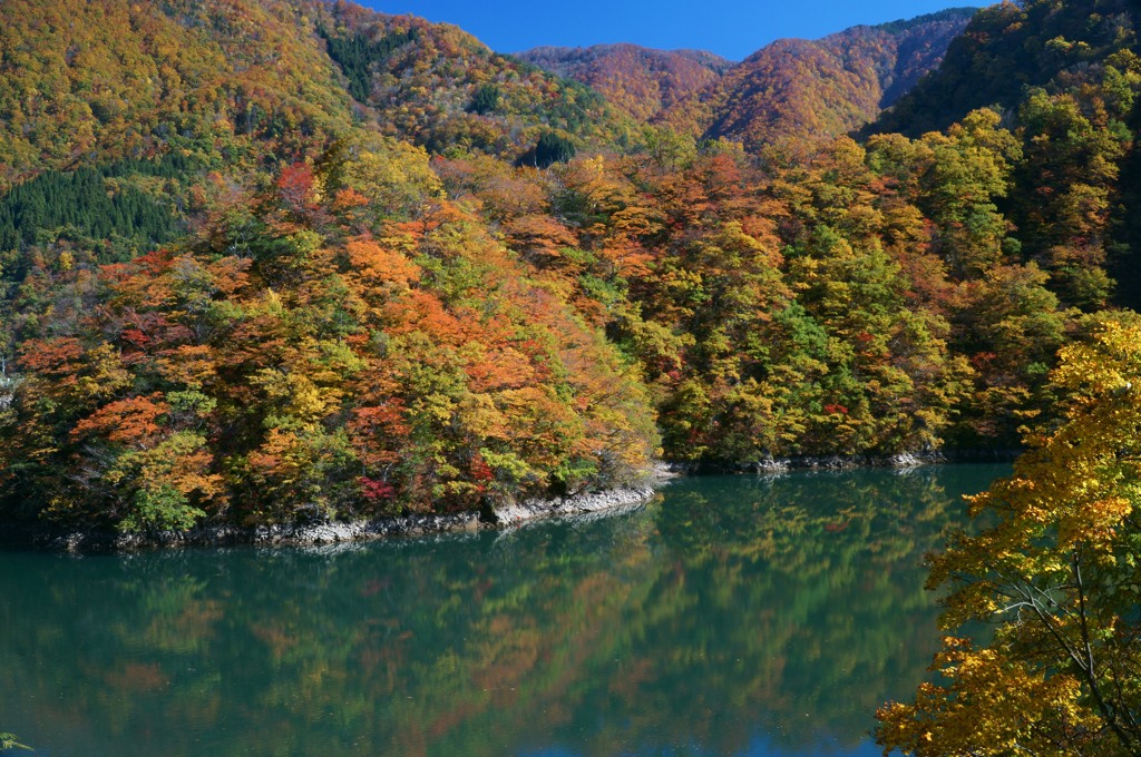 祖山ダム湖の紅葉