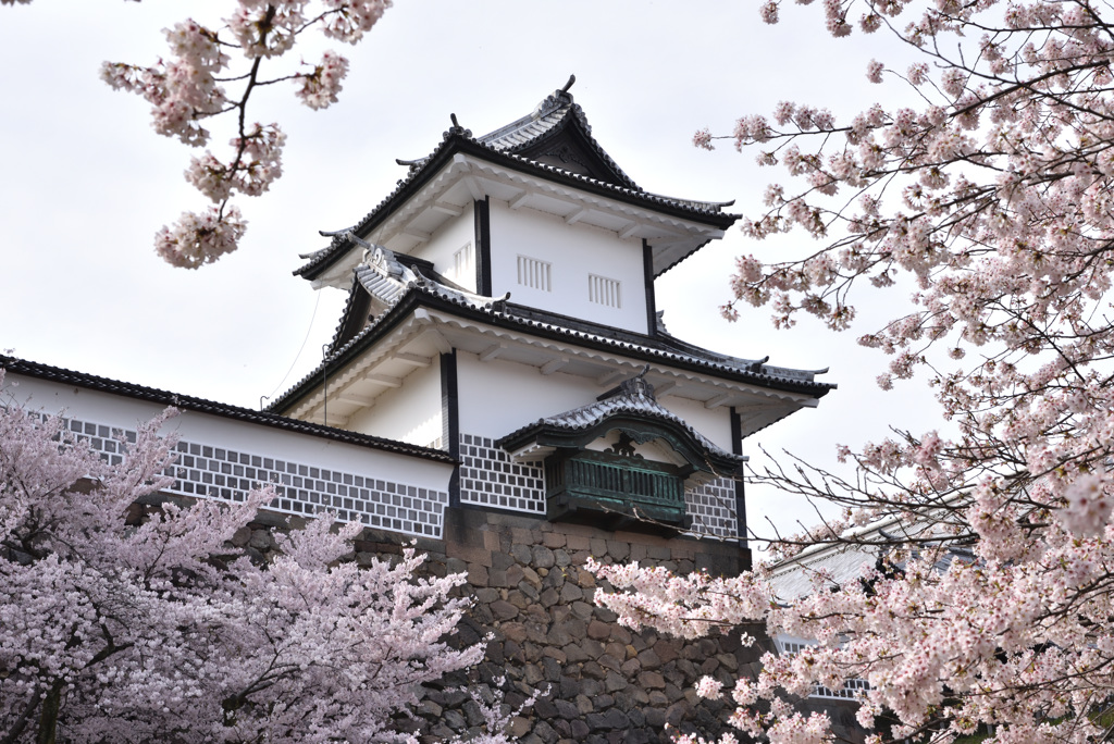 金沢城の春景