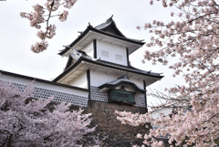 金沢城の春景