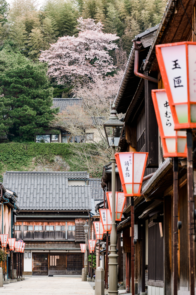 茶屋街の春