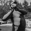 雪化粧３