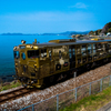黄金色の軌跡
