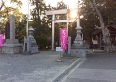伊奈冨神社　鳥居