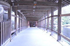 通路
