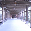 通路
