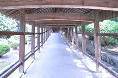 通路
