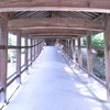 通路