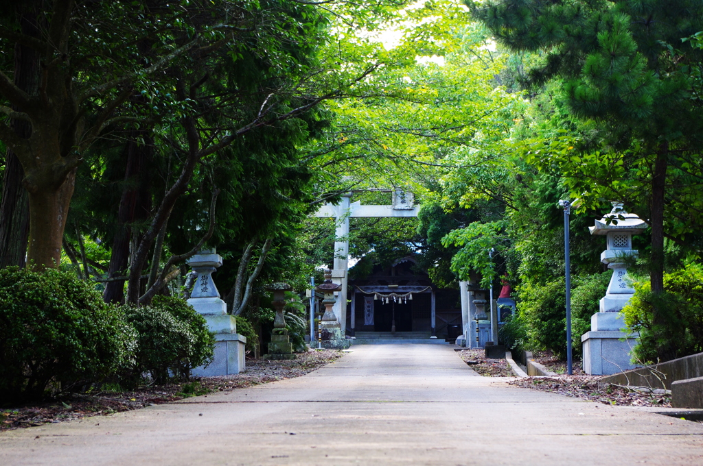 近所のお寺