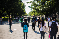 通学路