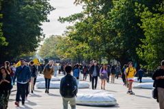 学生渋滞