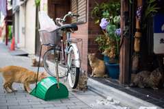 餌の時間