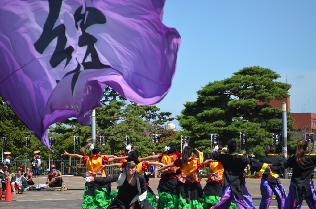 よさこい〜朝顔の舞