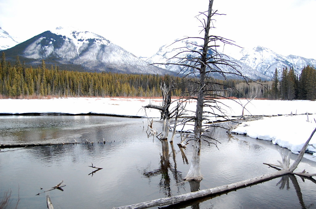 Johnson Lake