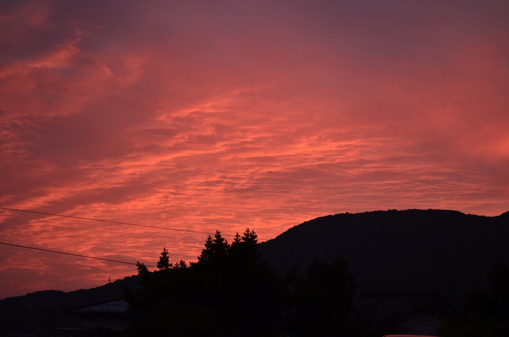 癒しの夕焼け