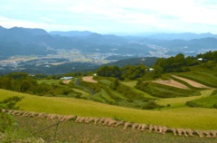 日本の原風景