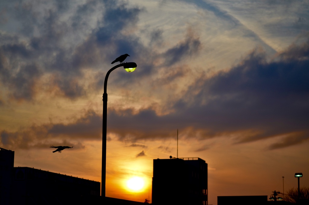 もの悲しい夕暮れ