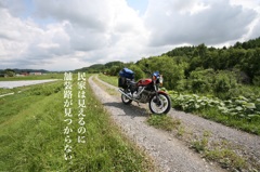 迷い道2