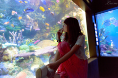 あいかと水族館