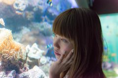 あいかと水族館