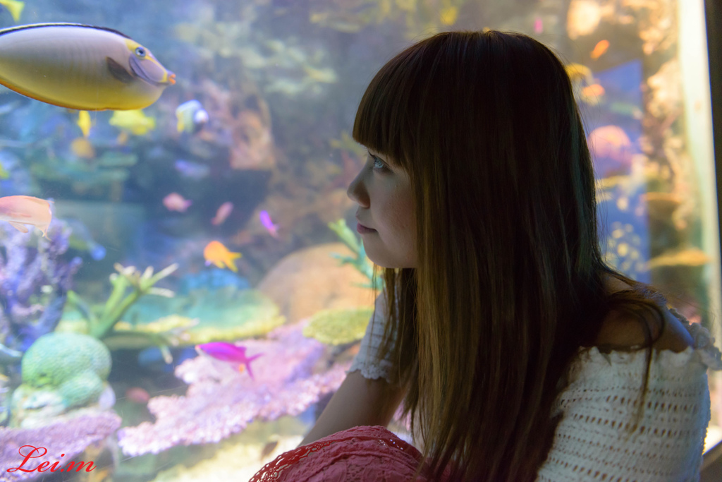 あいかと水族館