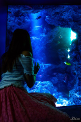 あいかと水族館