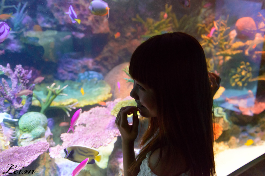あいかと水族館