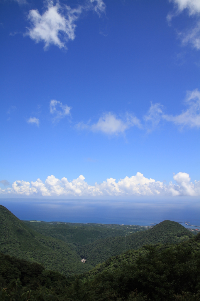 安房港と高い空