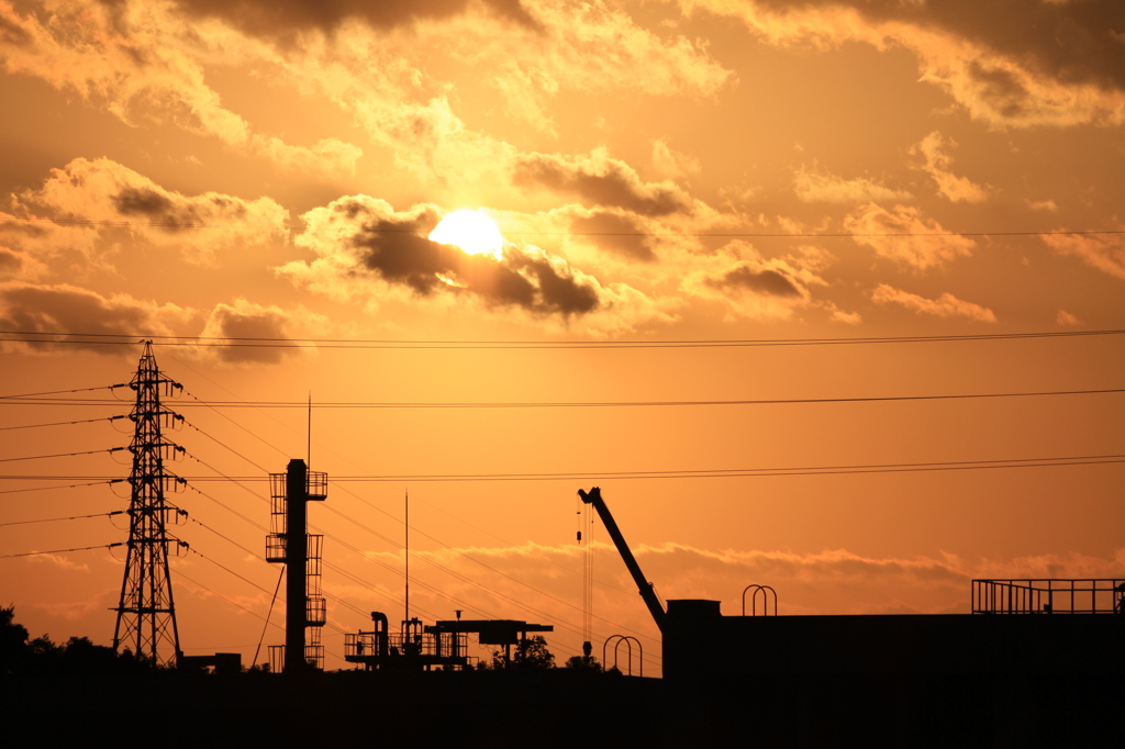 Sunset Crane