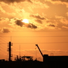 Sunset Crane