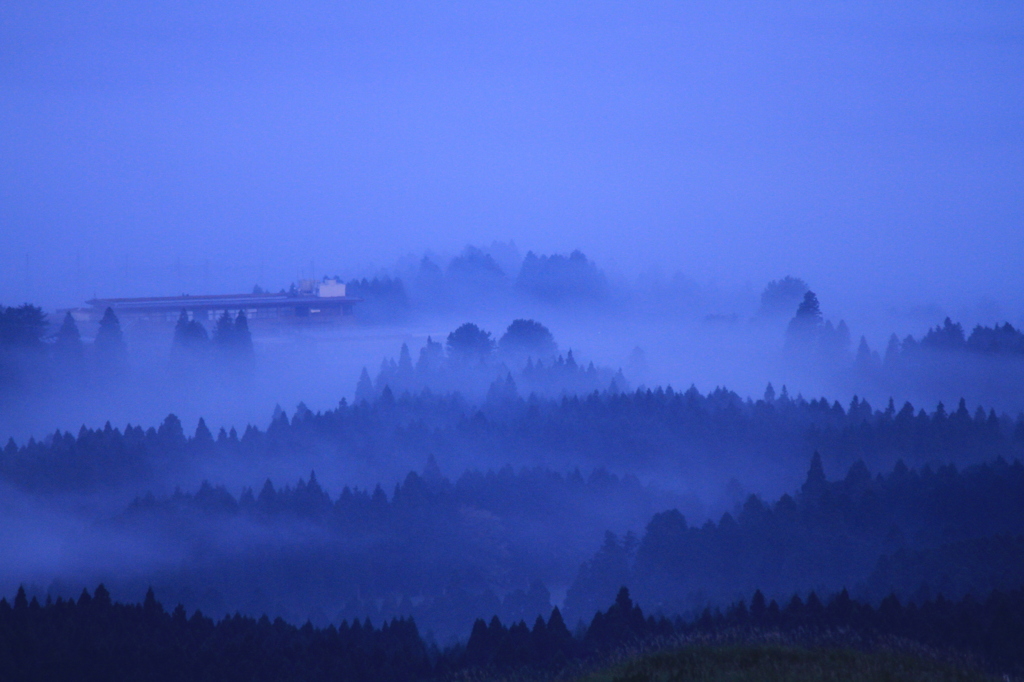 foggy morning ASO