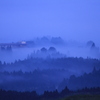 foggy morning ASO