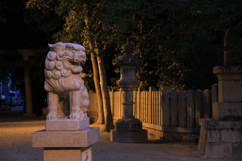 夜の狛犬 #01