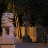 夜の狛犬 #01