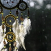 Dream Catcher