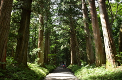 戸隠神社の道