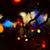 気分はクリスマス