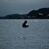 湖の中で