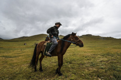 Ford with a horse.