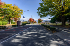 秋の散歩道（2 ）