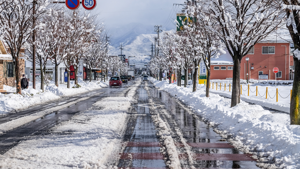 雪の散歩道Ⅱ