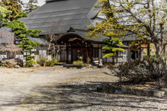 長命寺のサンシュユ